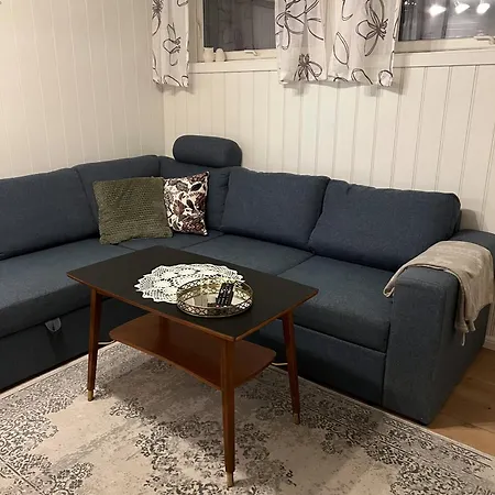 2-roms I Med Parkering Og Naert Sentrum Apartment