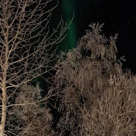 Tromso Arctic Apartment - Free Parking - Close To Everyting Apartment