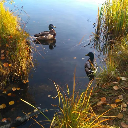 Tromso Arctic Apartment - Free Parking - Close To Everyting Apartment Tromso