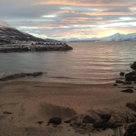 Apartment Tromso Arctic Apartment - Free Parking - Close To Everyting