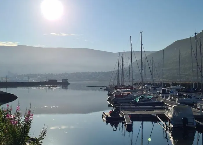Arctic - Free Parking - Close To Everyting Tromsø