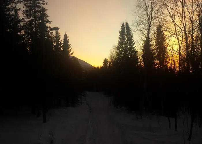 Arctic - Free Parking - Close To Everyting Apartamento