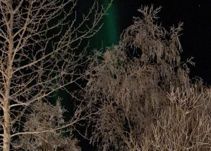 Arctic - Free Parking - Close To Everyting Apartamento