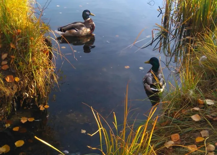 Arctic - Free Parking - Close To Everyting Apartamento Tromsø