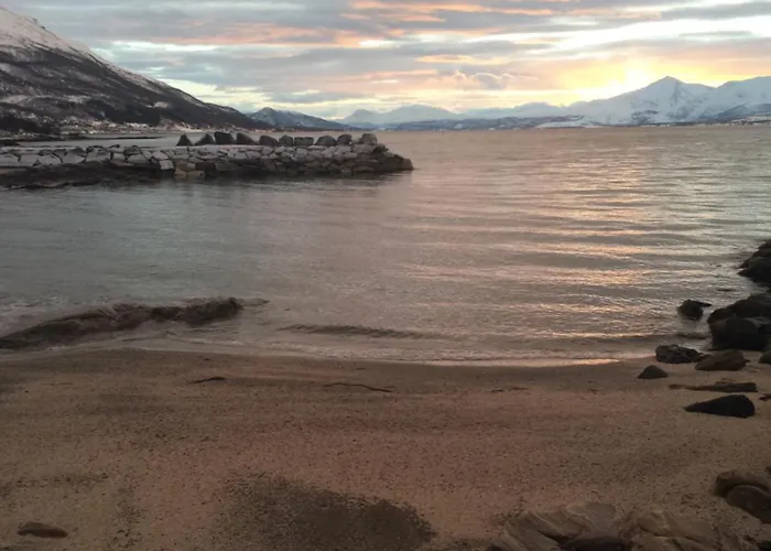 Apartamento Arctic - Free Parking - Close To Everyting